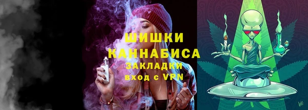 прущие грибы Белоозёрский