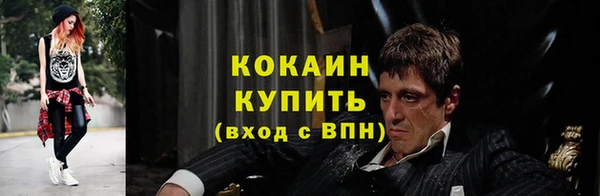 прущие грибы Белоозёрский