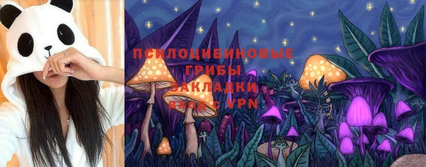 прущие грибы Белоозёрский