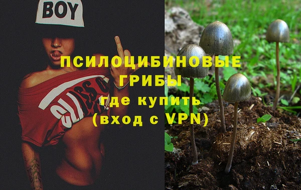 прущие грибы Белоозёрский
