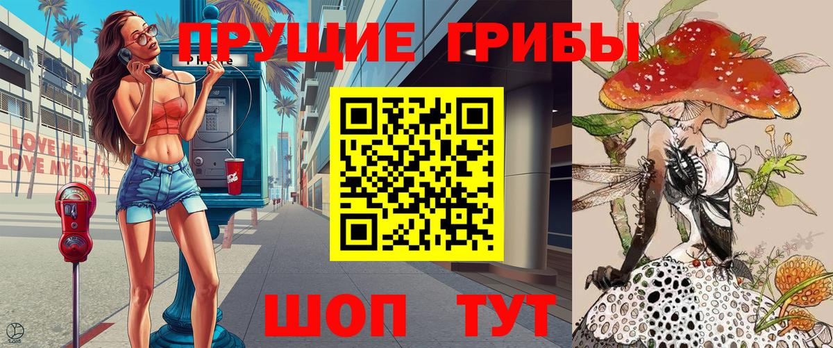 Галлюциногенные грибы Psilocybine cubensis Кувандык