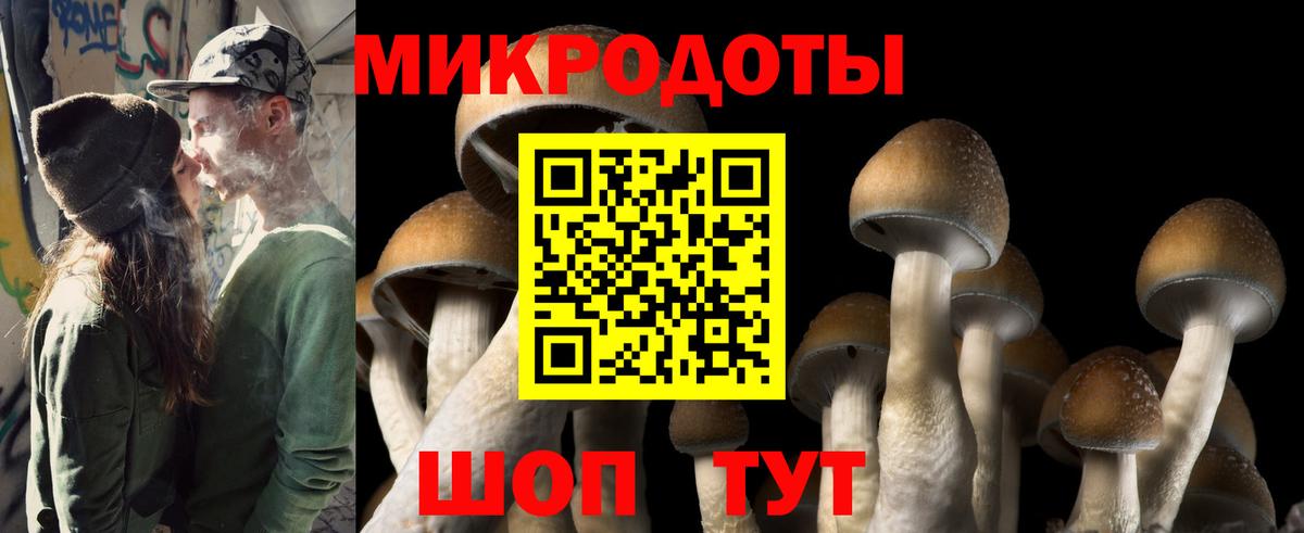 Кувандык  Псилоцибиновые грибы Cubensis  как найти наркотики  Вход с VPN 